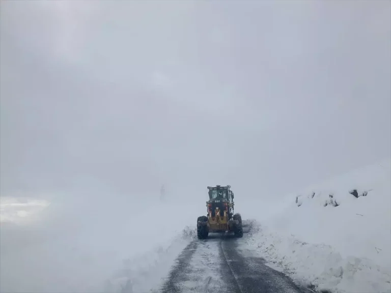 Van ve Hakkari’de ulaşımın sağlanamadığı 172 yerleşim yerinden 158’inin yolu açıldı
