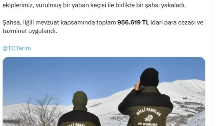 Yaban keçisi vuran avcıya 956 bin TL ceza