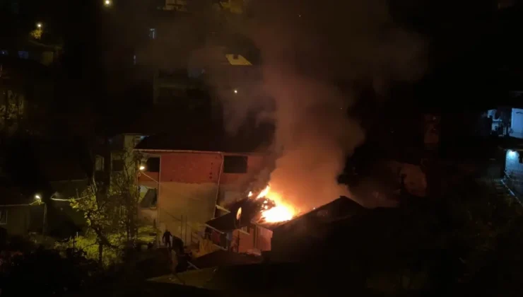 Yanan evden mahsur kalan papağanı itfaiye kurtardı