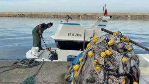 Zonguldak’ta sıcaklıkların mevsim normallerini aşması avlanan balık miktarını düşürdü
