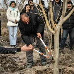 ABB’den Meyve Ağaçlarının Gelişimine Destek