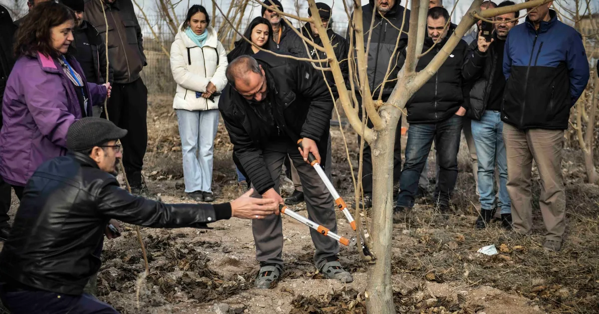 ABB’den Meyve Ağaçlarının Gelişimine Destek
