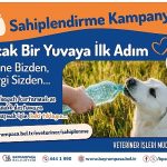 Bayrampaşa’da ‘can dostlar’ yuvalarını bekliyor