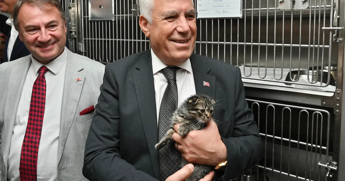 Bursa Büyükşehir Patili Dostların Yanında