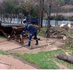 Büyükşehir, şiddetli lodosa karşı teyakkuzda