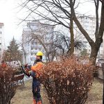 Çankaya’da Budama Çalışmaları Bahar Öncesi Hız Kazandı