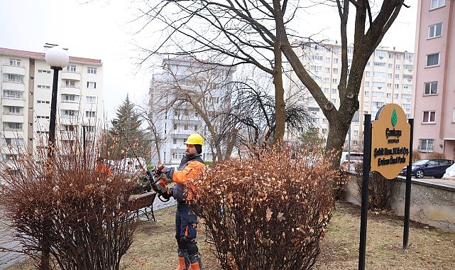 Çankaya’da Budama Çalışmaları Bahar Öncesi Hız Kazandı