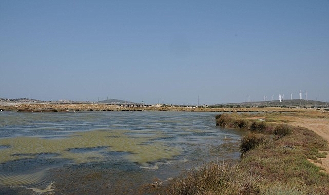 Egeli Akademisyen AB Destekli “HALO-FORCE” Projesinde yer aldı