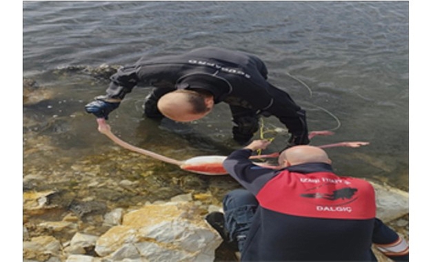 Flamingoya hayat veren kurtarma operasyonu