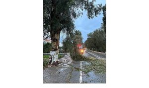 Foça Belediyesi Ekipleri Fırtına ve Yağışa Karşı Teyakkuzda