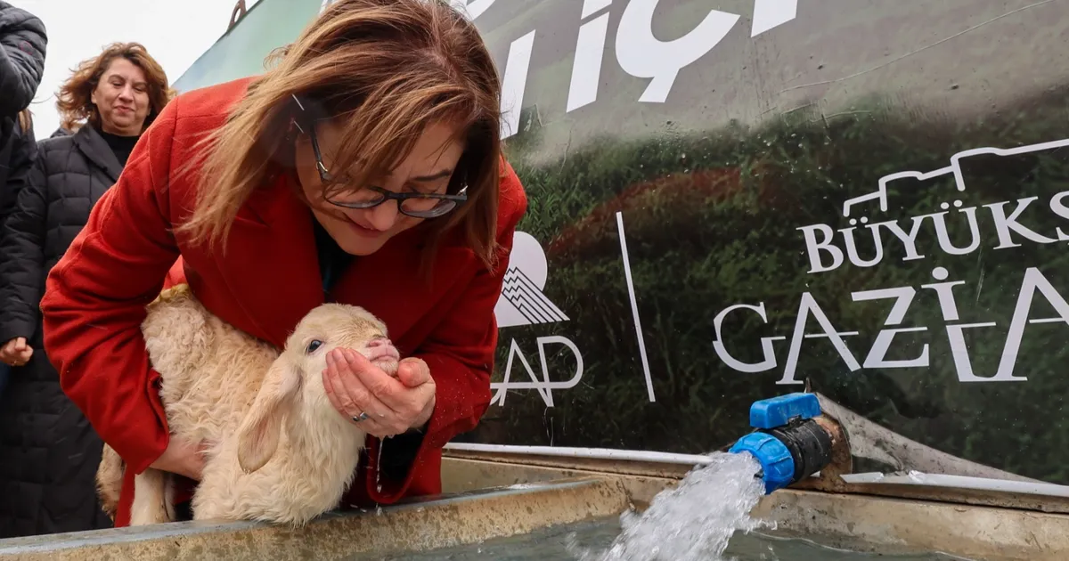 Gaziantep Büyükşehir ile Meralarda Hayvanlar Temiz Suya Kavuşuyor