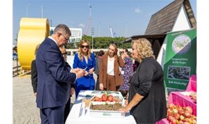 Menderes’te salep umudu