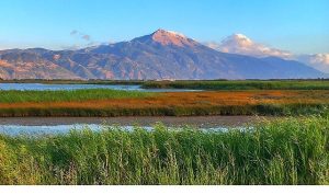 Milleyha Doğa Gözlem Merkezi, 13 Şubat’ta Üç Gün Sürecek “Doğa Buluşması” ile Kapılarını Açıyor.
