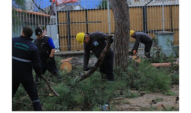 Osmangazi Belediyesi’nden Lodosa Karşı Etkin Müdahale