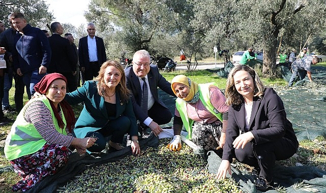 Zeytinin Başkenti Edremit’te MECİ Şenliği başlıyor