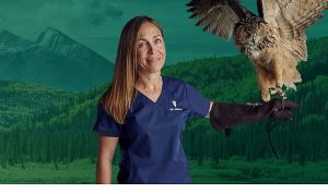 6 Bölümden Oluşan ‘Yukon Veterineri Özel’, 5. Sezonu İle 4-11-18 Şubat Çarşamba Saat 20.00’de İki Bölüm Art Arda National Geographic WILD Ekranlarında!