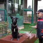 Maltepe’de “Pati Park” açıldı