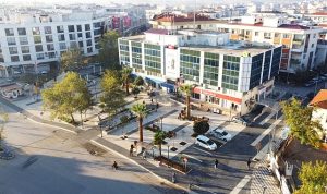 Menderes’te Sakız Ağacı Projesi