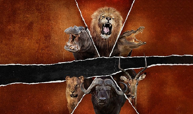 ‘Ölümcül Safari: Büyük Kedilerin Savaşı’, 15 Şubat Pazar Saat 20.00’de National Geographic WILD Ekranlarında!