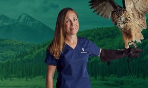 ‘Yukon Veterineri’ne Saygı Özel’, 25 Şubat Çarşamba Saat 20.00’de National Geographic WILD Ekranlarında!
