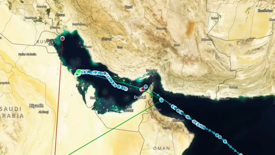 Alman armatörlerden Körfez alarmı