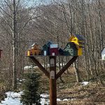 Bayramda kapınız doğaya açılsın