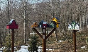 Bayramda kapınız doğaya açılsın