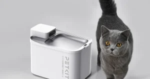 Evcil Hayvanlarda Yetersiz Su Tüketimi Riskine Karşı Yeni Nesil Çözüm