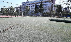 Günübirlik alandaki halı saha yenileniyor