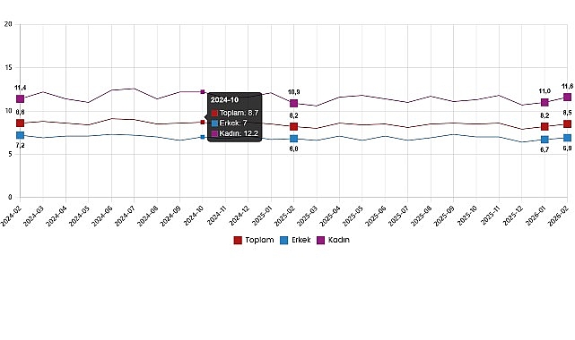 İşgücü İstatistikleri, Şubat 2026