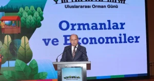 Ormanların Ekonomik Gücüne Dikkat Çekildi