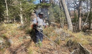 Ramazan Bayramında Kurşunlu Mezarlığına saat başı ücretsiz ring seferi