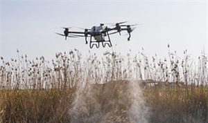 Sivrisinek ve zararlılara karşı İzmir modeli