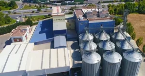 Türkiye’nin Yeni Ekmeği Konya’da Geliştirildi