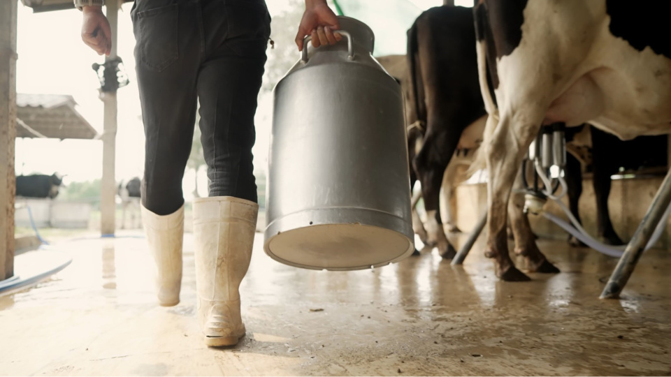 TÜSEDAD uyardı: Gıda enflasyonunda artış kaçınılmaz hale geliyor