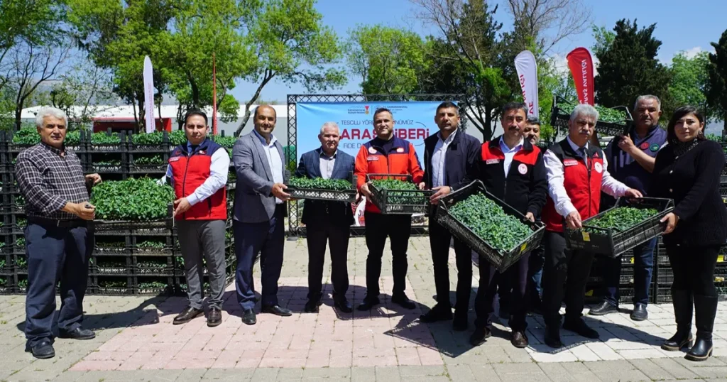 Kahramanmaraş’ta Üreticiye 650 Bin Hibe Biber Fidesi