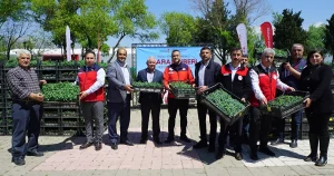 Kahramanmaraş’ta Üreticiye 650 Bin Hibe Biber Fidesi