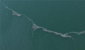 Körfez’de 12. kez dış kaynaklı kirlilik tespit edildi