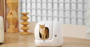 Patili Dostlarınızın Bakımında Yeni Dönem