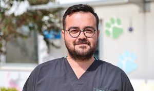 Büyükşehir Bakımevi’nde can dostlar sıcak yuvalarına kavuşuyor