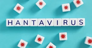 Hantavirüsün Pandemiye Dönüşme Riski Var Mı?